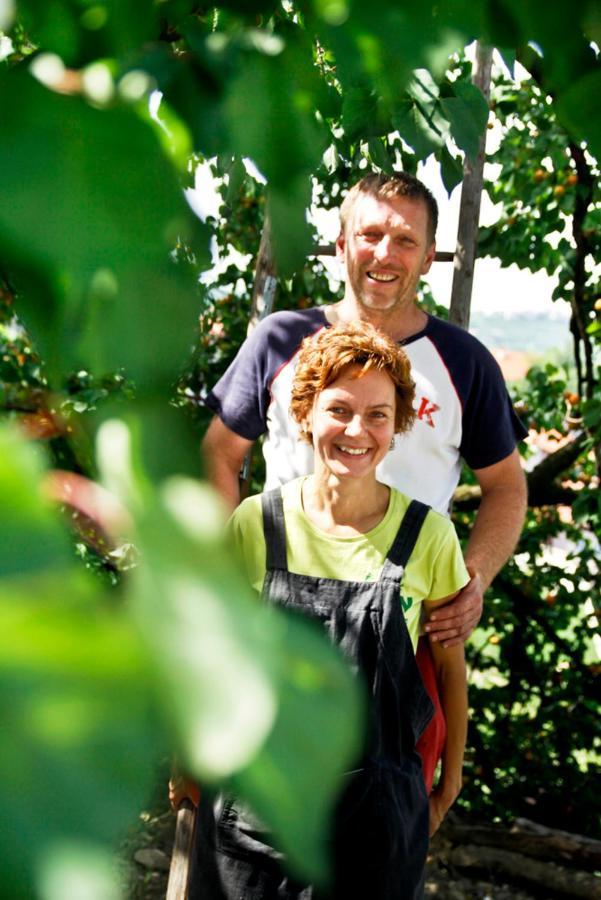 Farmstay Kmetija Stekar คอจส์โค ภายนอก รูปภาพ