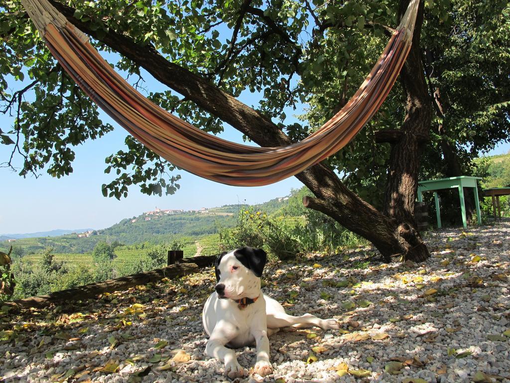 Farmstay Kmetija Stekar คอจส์โค ภายนอก รูปภาพ