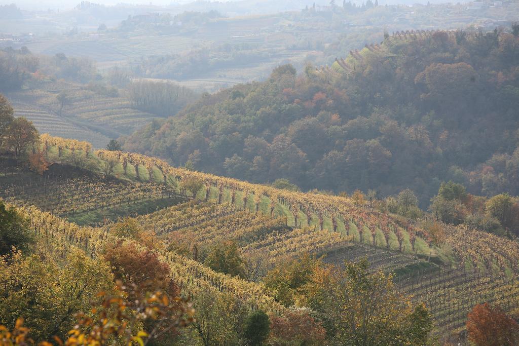 Farmstay Kmetija Stekar คอจส์โค ภายนอก รูปภาพ