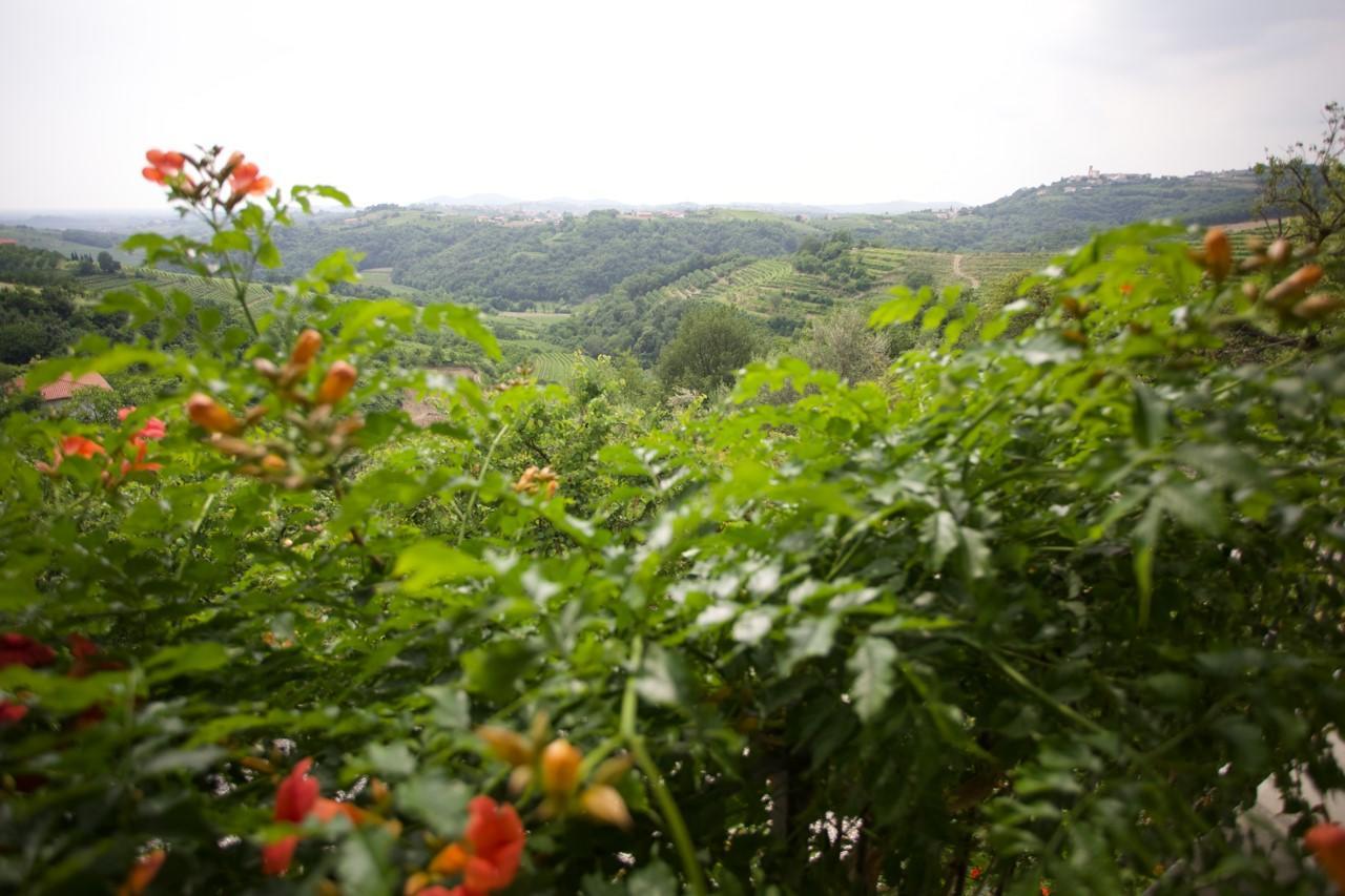 Farmstay Kmetija Stekar คอจส์โค ภายนอก รูปภาพ