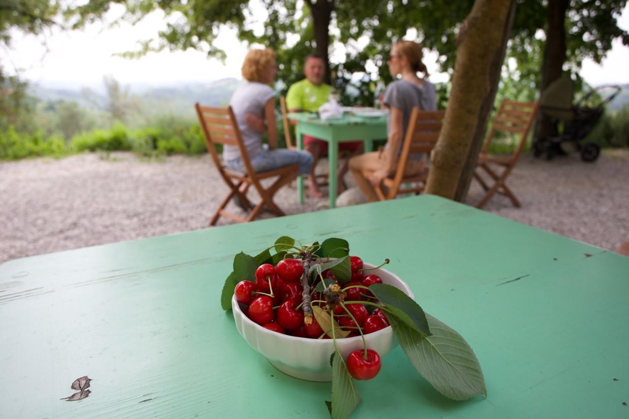 Farmstay Kmetija Stekar คอจส์โค ภายนอก รูปภาพ