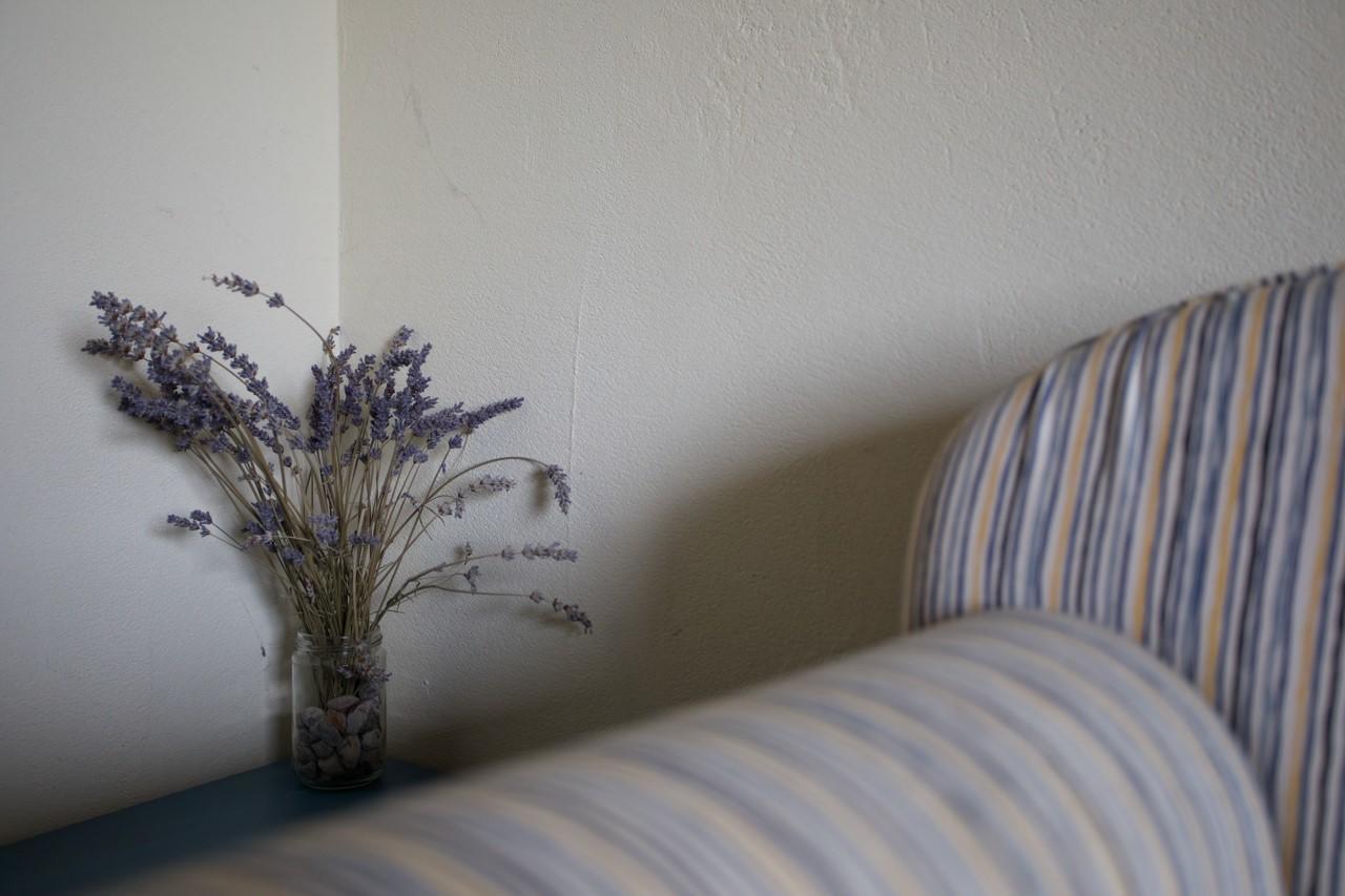 Farmstay Kmetija Stekar คอจส์โค ภายนอก รูปภาพ